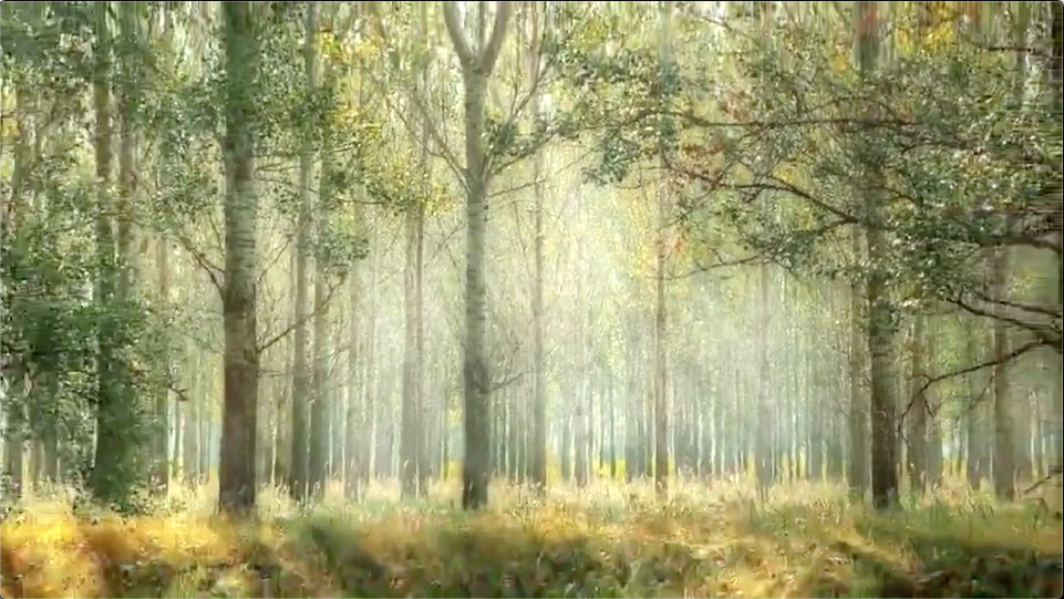 Silence ! une vidéo de nos Frères et Soeurs italiens